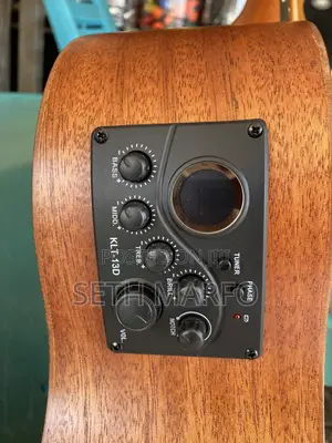 Semi Acoustic Giutar