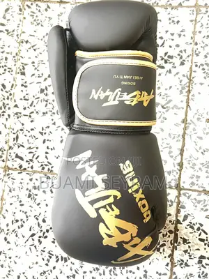 Black Boxing Gloves