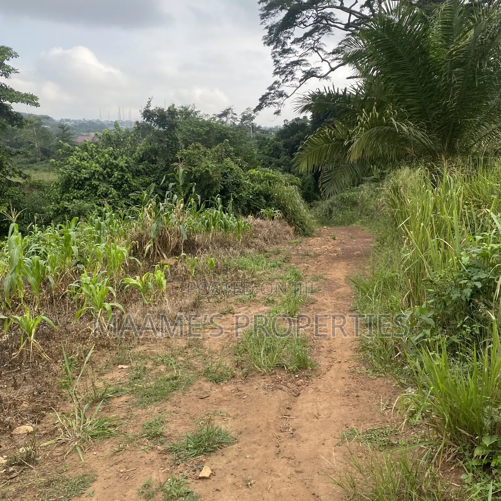 20 Registered Land for Sale in Aburi Obosomase, Per Plot Is 
