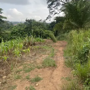 20 Registered Land for Sale in Aburi Obosomase, Per Plot Is 