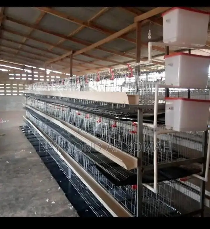 Battery Cages