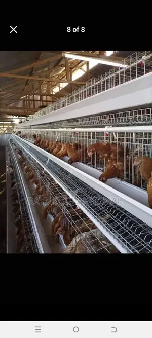 Battery Cages