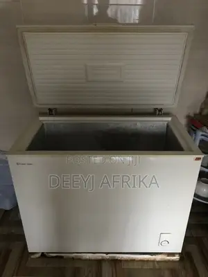 Deep-Freezer Which Is Fairly Used Is Going for Cedis Is Negotiab