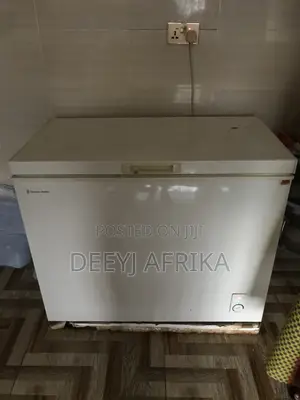 Deep-Freezer Which Is Fairly Used Is Going for Cedis Is Negotiab