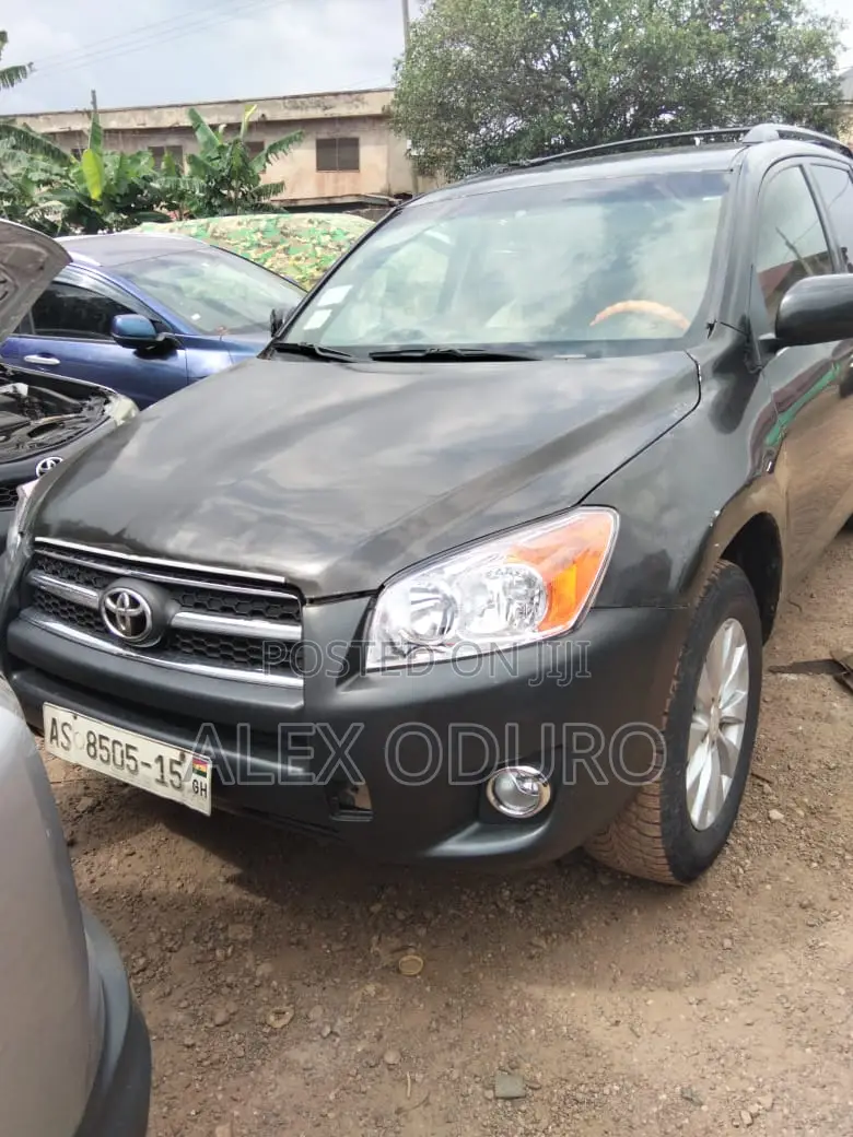 Toyota RAV4 Sport 2009 Gray