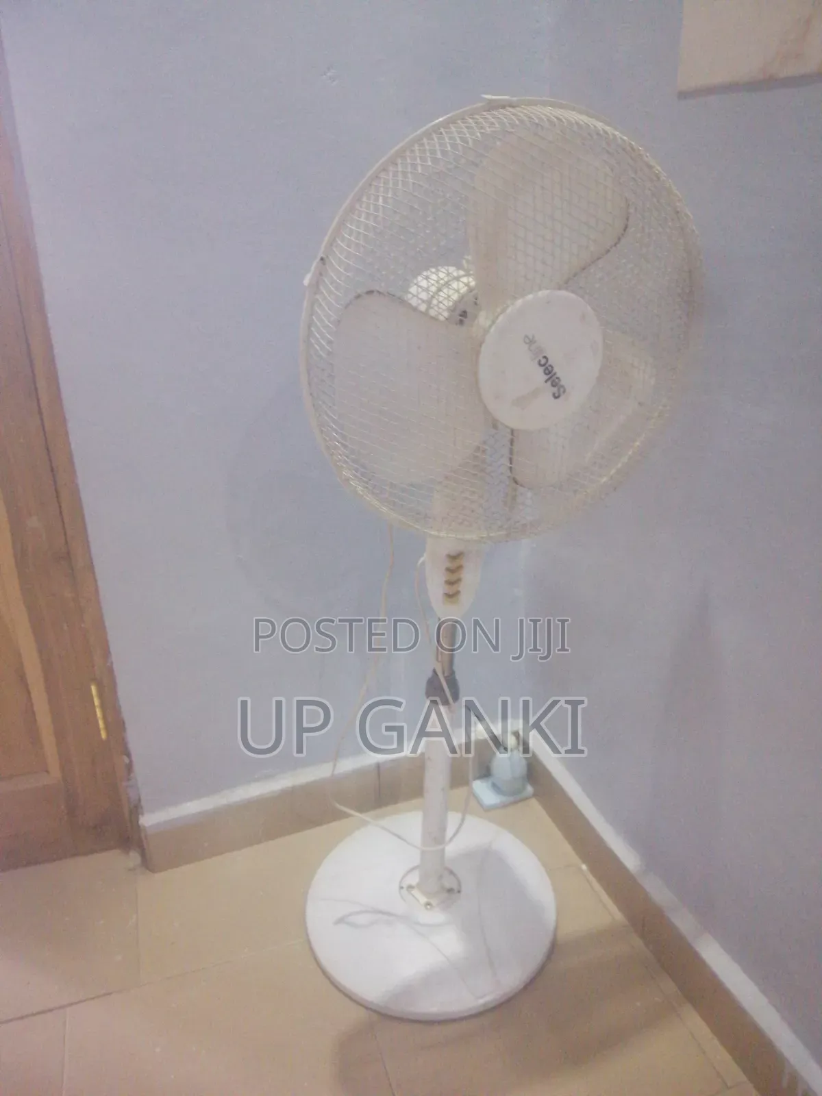Standing Fan