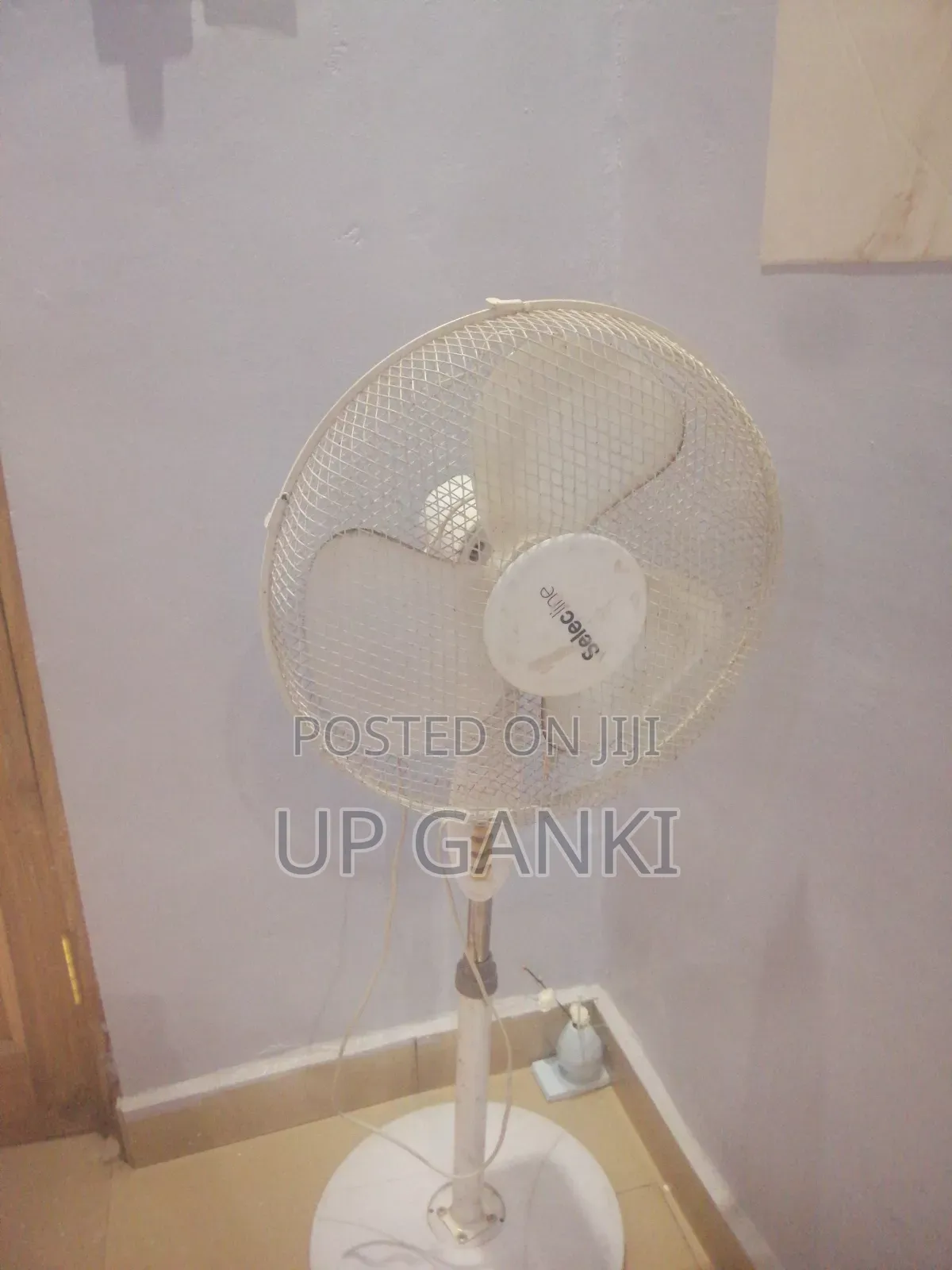Standing Fan