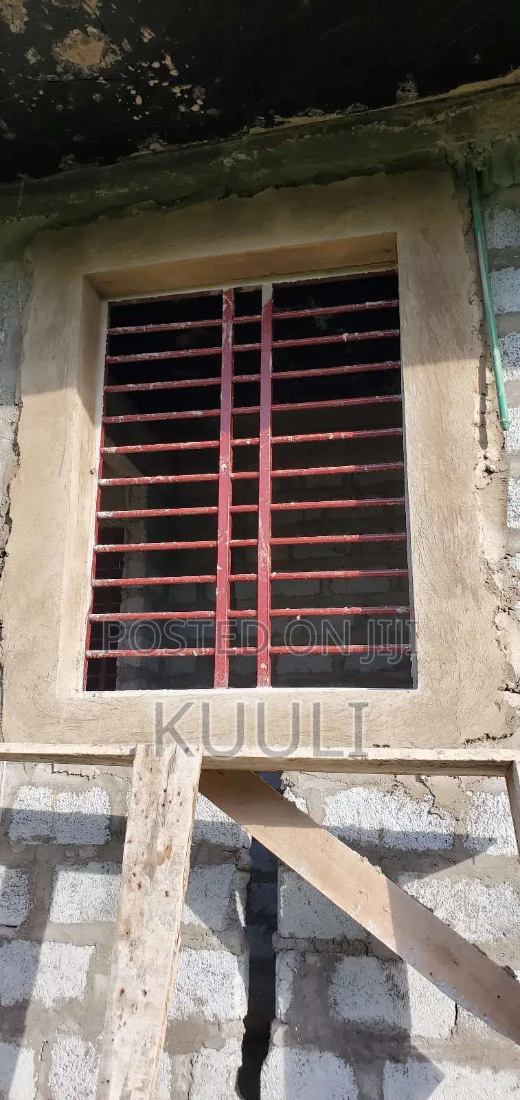 Bogarproofull Doors and Windows