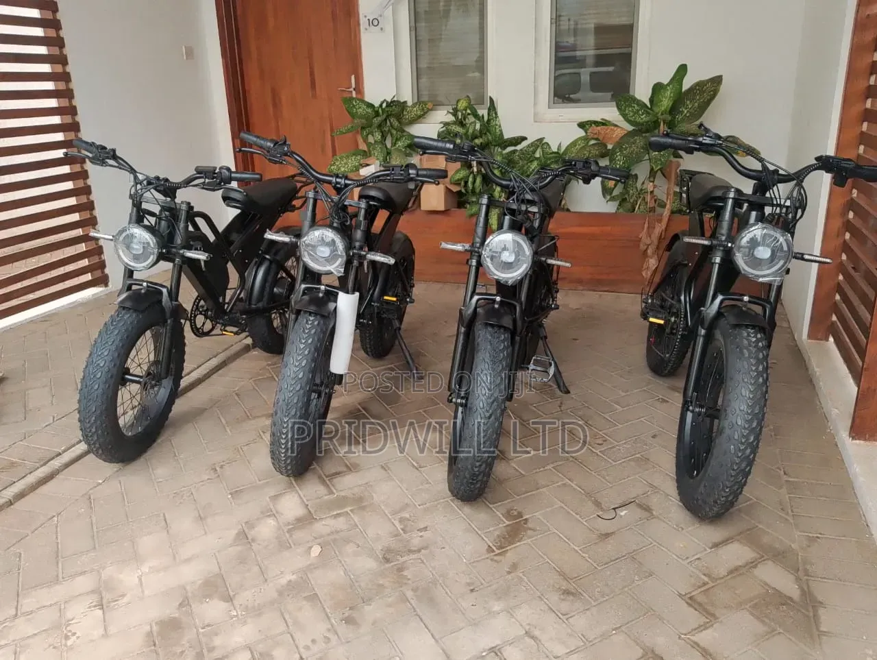 Electric Bike