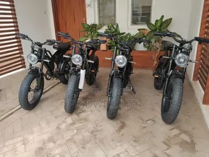 Electric Bike