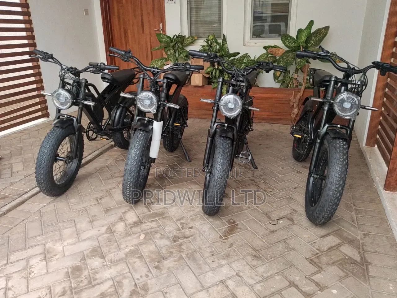 Electric Bike