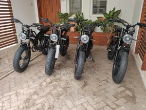Electric Bike