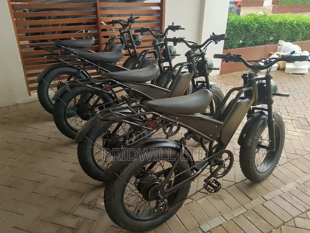 Electric Bike