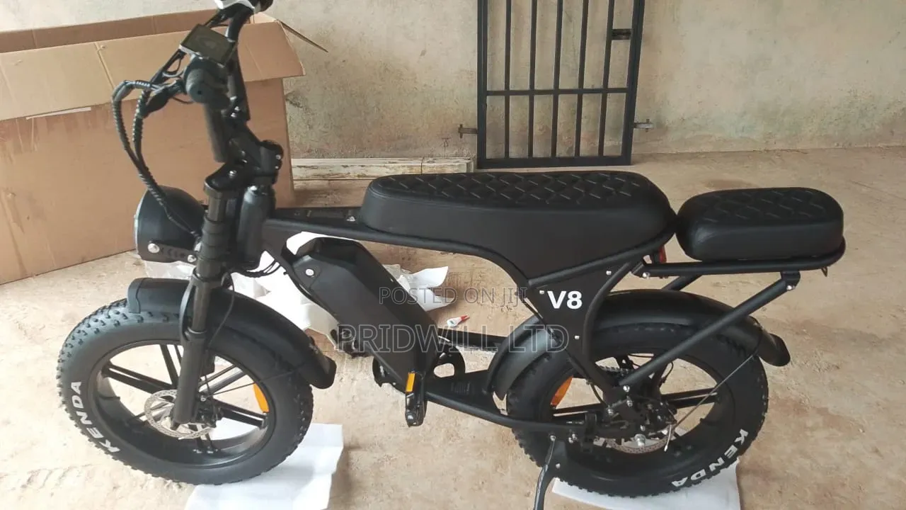 Electric Bike