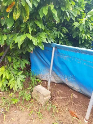 Fish Farming Tarpaulin for Sale