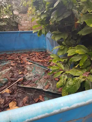 Fish Farming Tarpaulin for Sale
