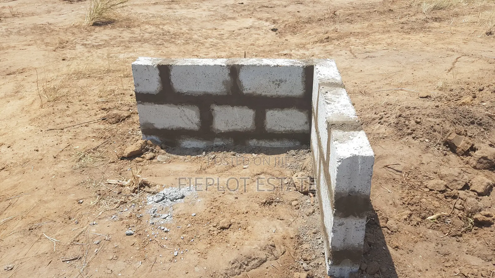 Exclusive Full Plot