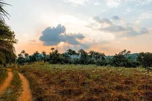46 Acre Farmlands