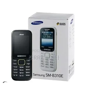 New Samsung B310