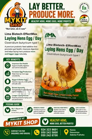 Quality Laying Hens Egg Supplement