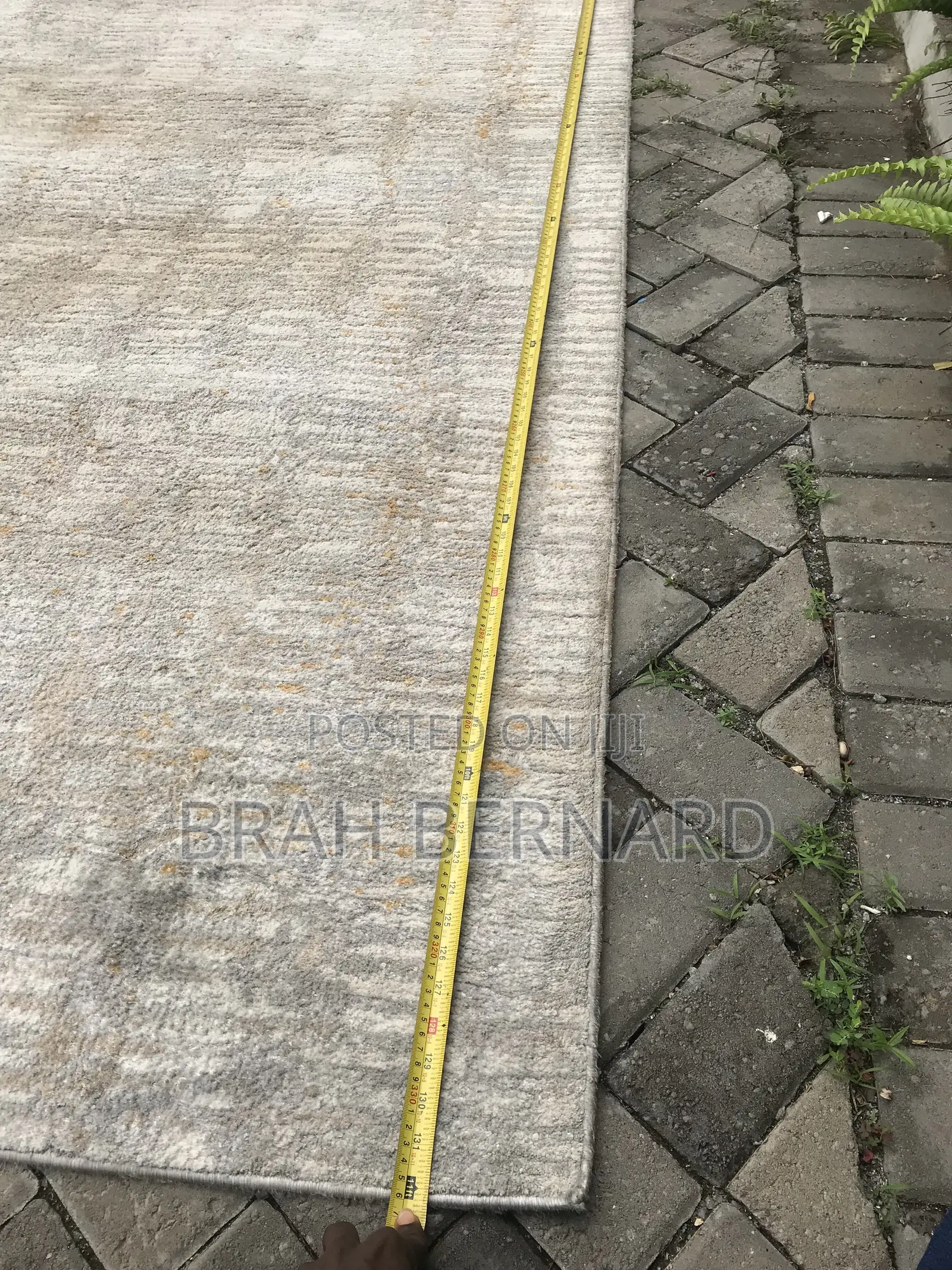 Wolly Carpet