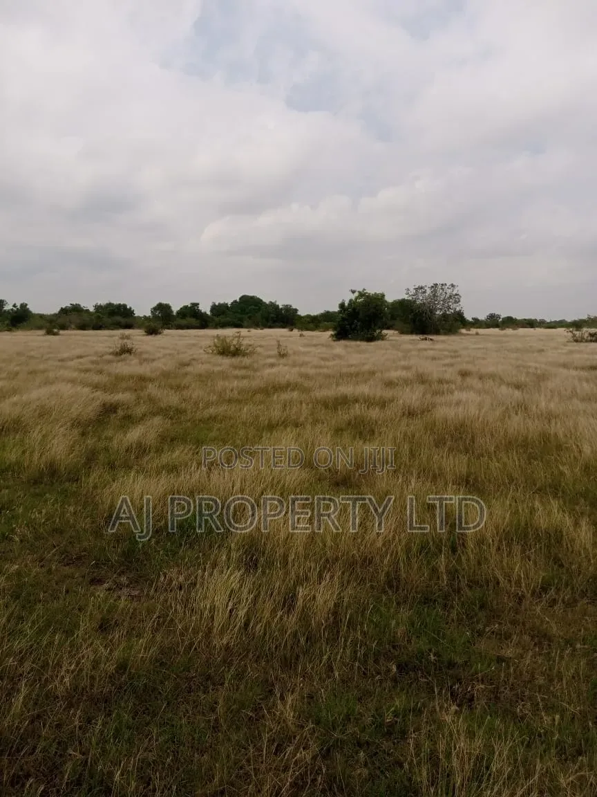At Juapon Farm Land for Sale Yup