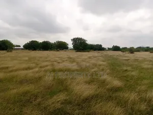 At Juapon Farm Land for Sale Yup