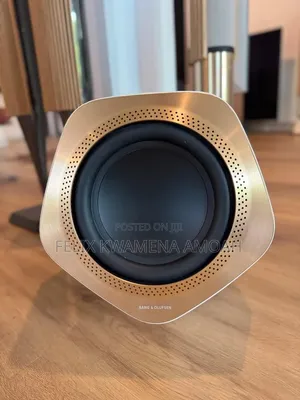 Bang Olufsen Beolab 19 Subwoofer