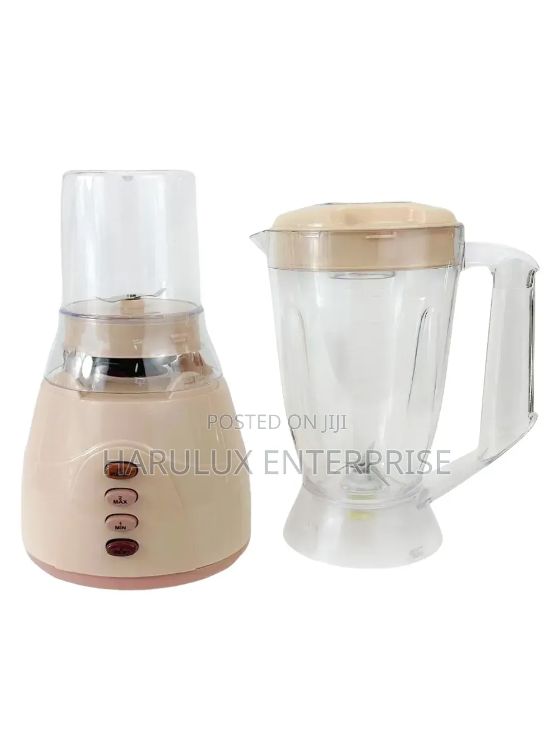 Cictronic 2-in-1 Multi-Function Blender Grinder - 650W (CIC-310)