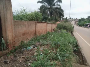 2 Plots of Land for Sale at Agric Kromoase