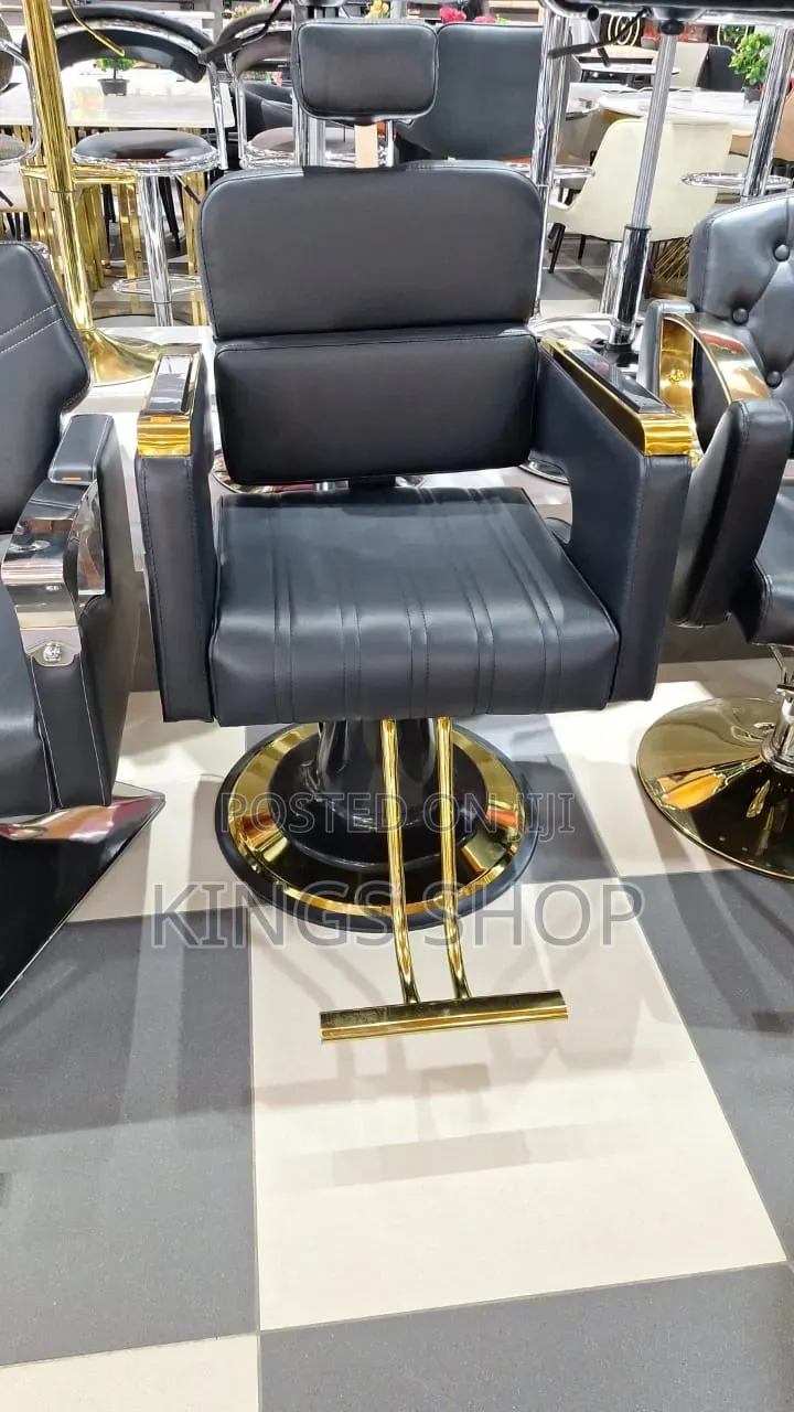 Adjustable Salon Chair