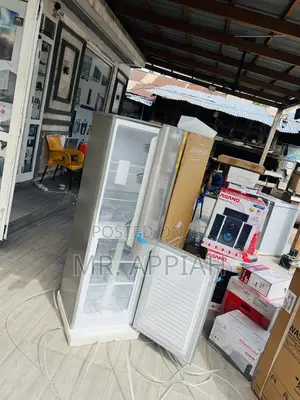 Adorable TCL Bottom Mount Electric Refrigerator 