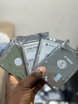 160GB Hard Disk Drive