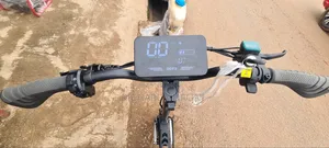 Heavy Duty Scooter