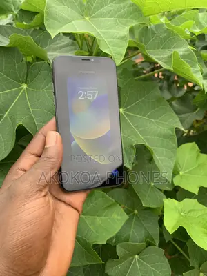 Apple iPhone X 256 GB Black