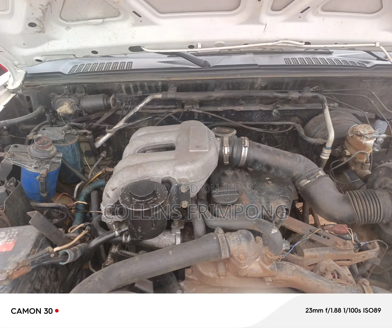Nissan Hardbody 2000 White