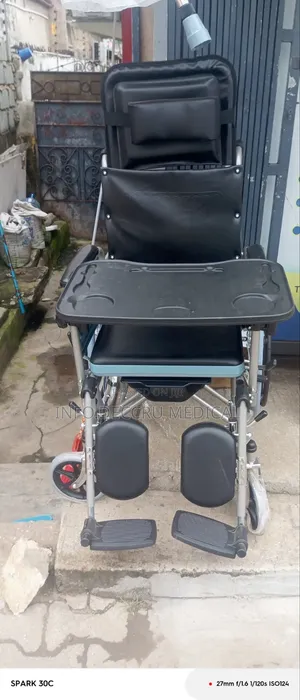 Executive Wheel (Wheelchair With Long Back)