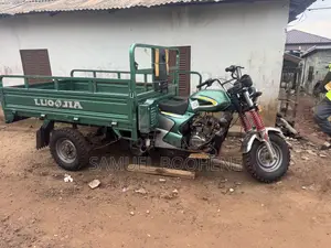 Luojia LJ100ZK-A 2025 Green