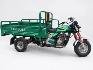 Luojia LJ100ZK-A 2025 Green