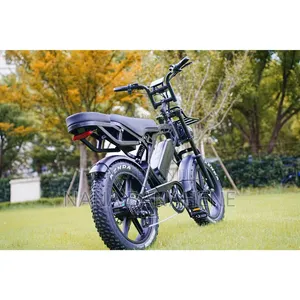 Brand New in the Box Electric Bike - V20 From Taiwan √
