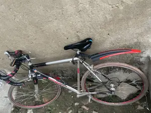 Racer Bicycle