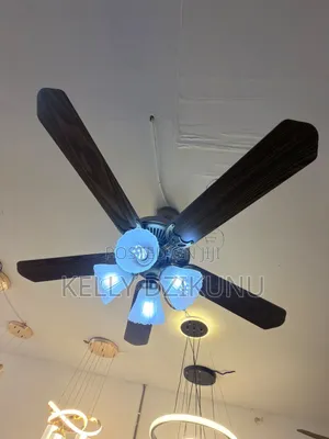 Summerwind 48 Inch 5 Blade Ceiling Fan With Remote