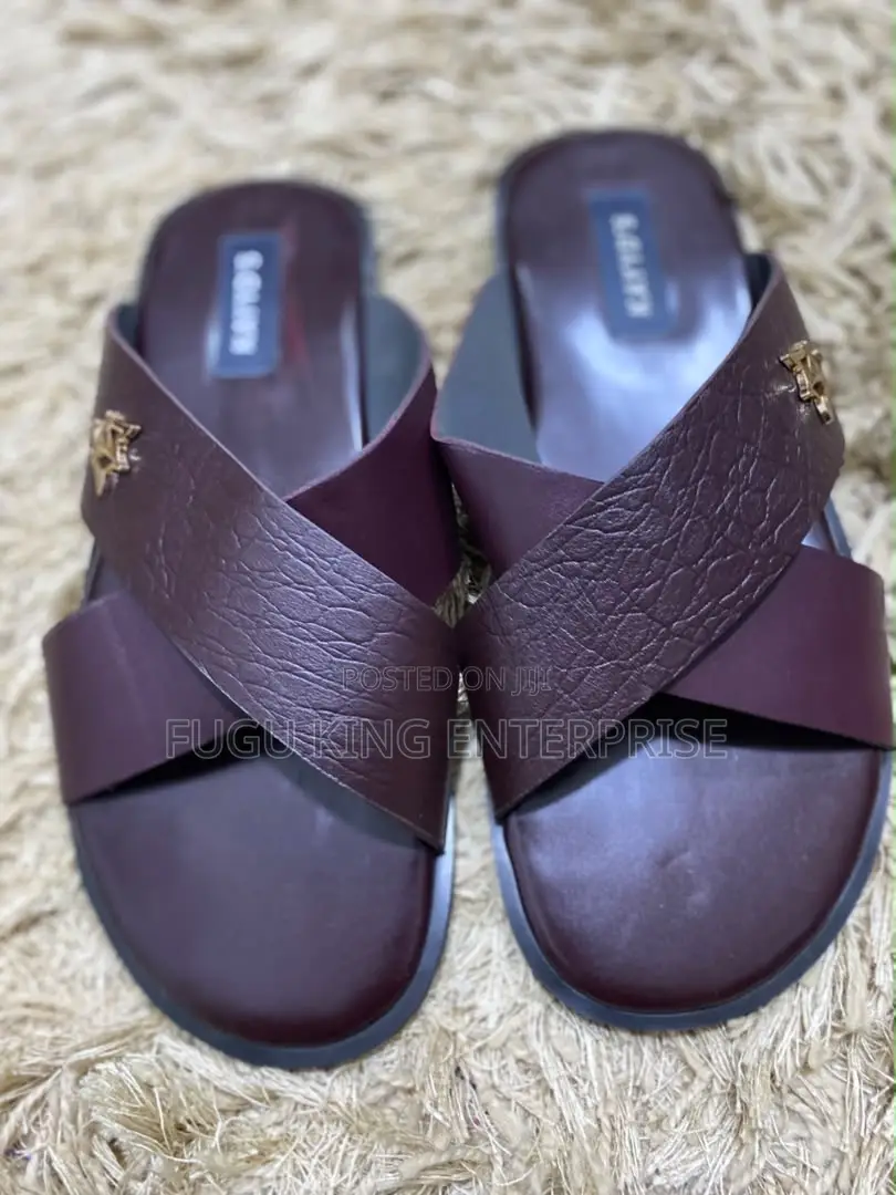 Nice Ahenema and Slides Available