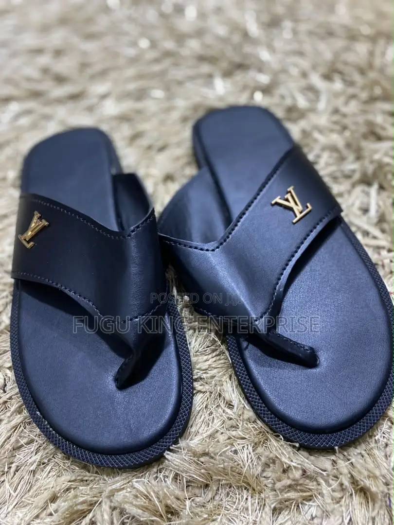 Nice Ahenema and Slides Available