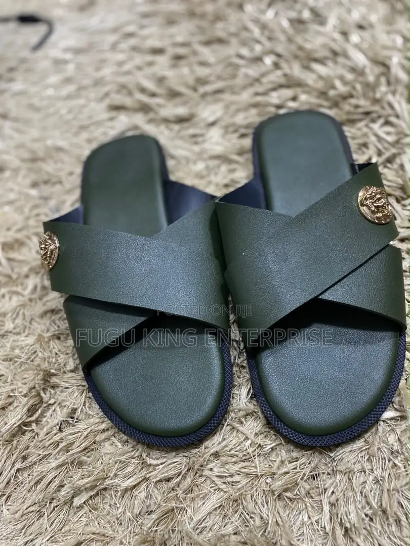 Nice Ahenema and Slides Available