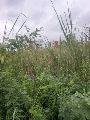 Titled Walled and Gated 2 Acres of Land for Sale at East Legon