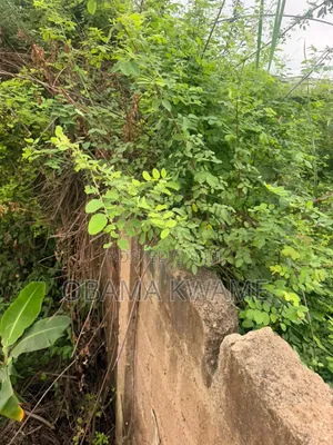 Titled Walled and Gated 2 Acres of Land for Sale at East Legon