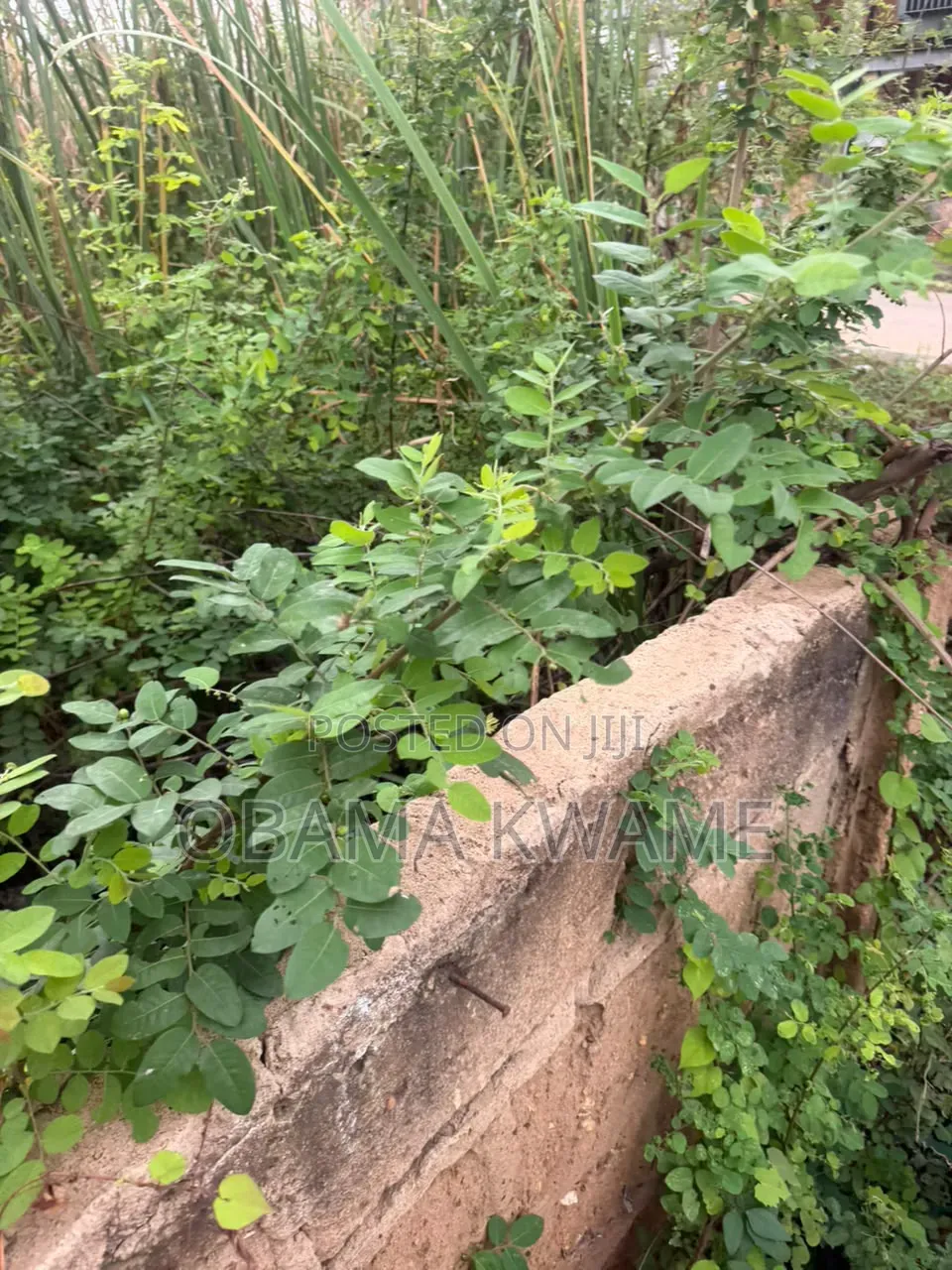 Titled Walled and Gated 2 Acres of Land for Sale at East Legon
