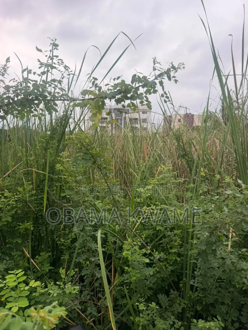 Titled Walled and Gated 2 Acres of Land for Sale at East Legon