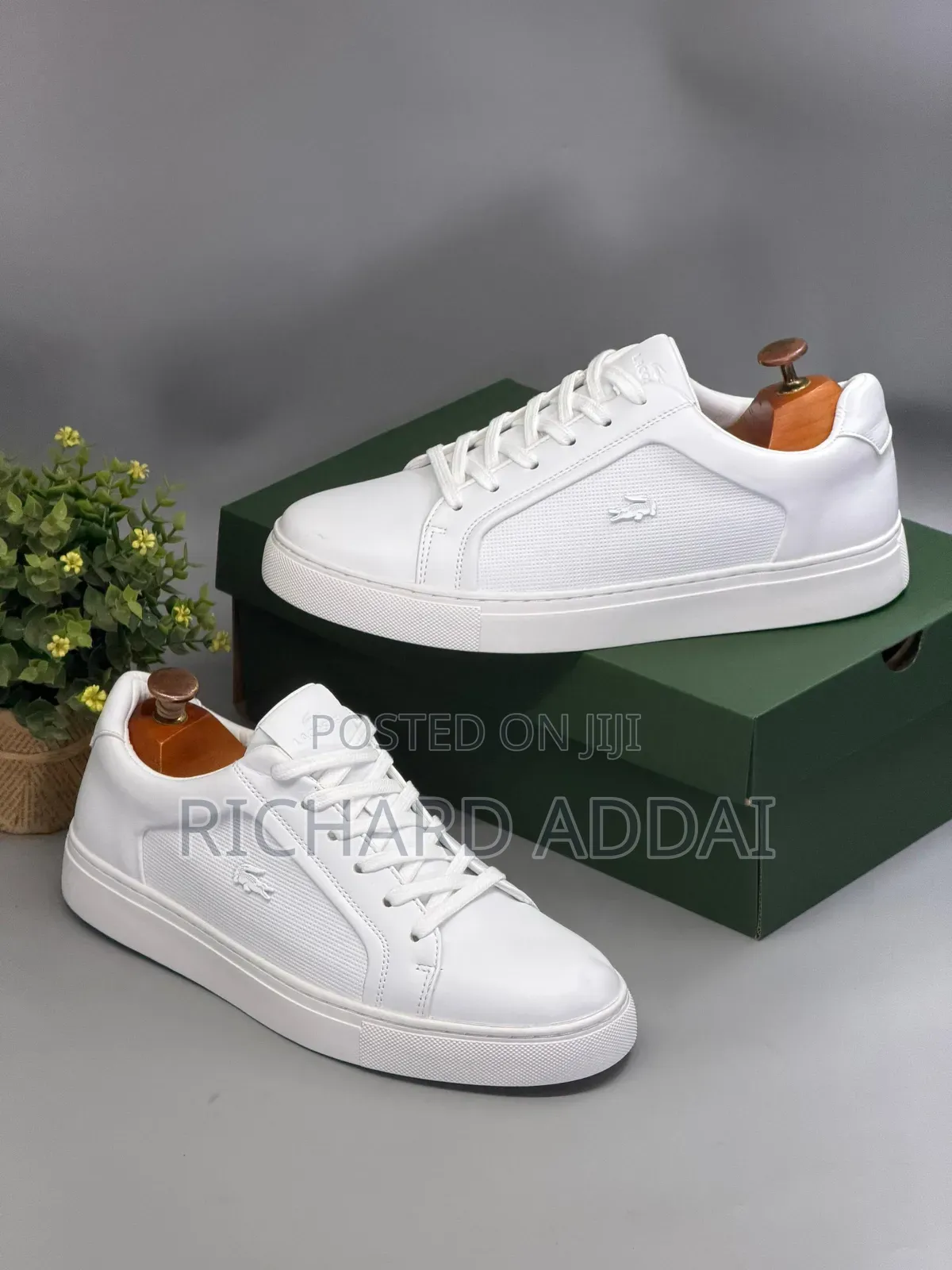 Men's Original Sneakers(lacoste)